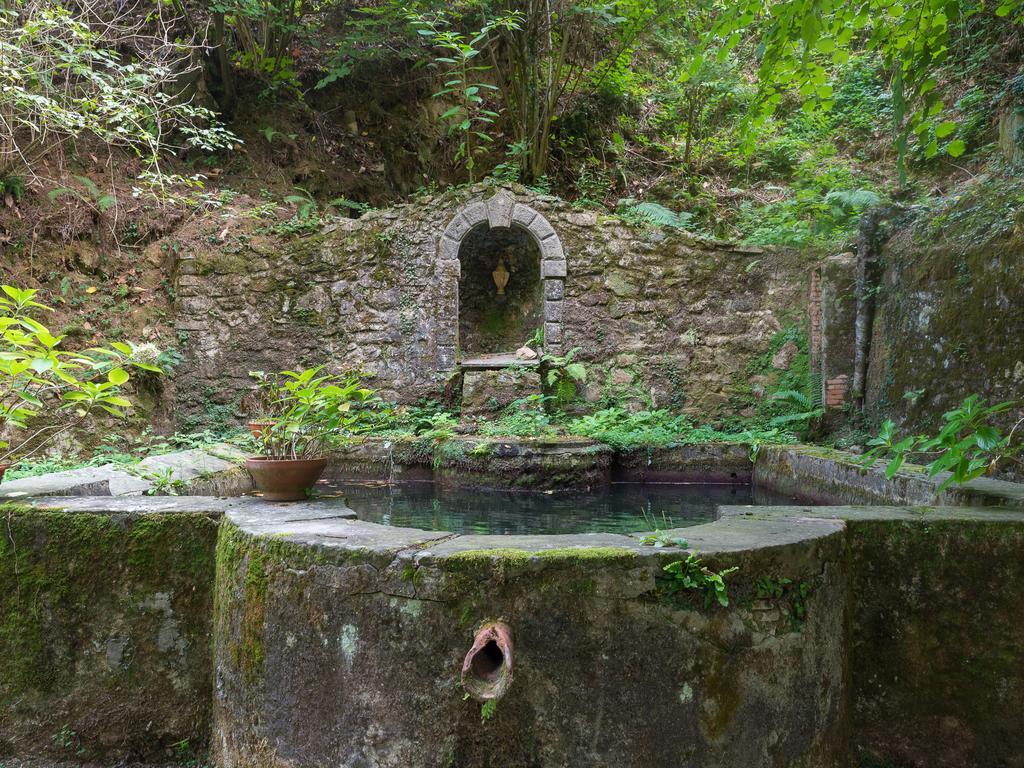 Agriturismo Le Fontanacce Пеша Екстериор снимка